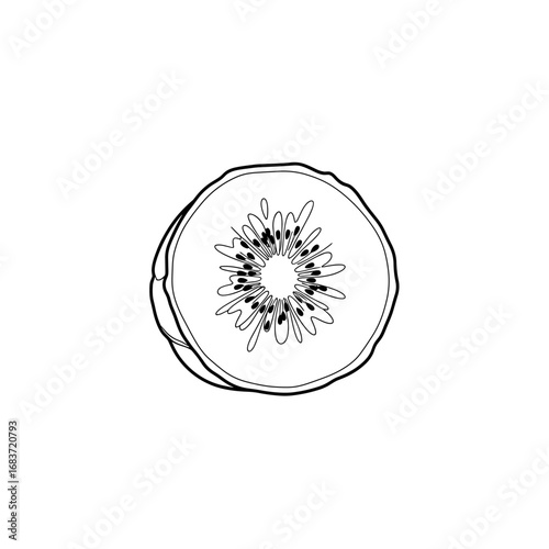 A detailed line drawing of a sliced kiwi fruit showing seeds and outer skin on a white presentation
