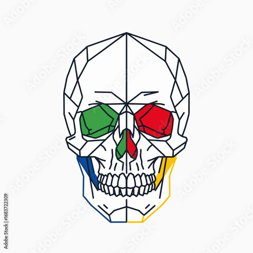 Anatomical Skull Structure Visualization with Colored Craniofacial Regions for Study
