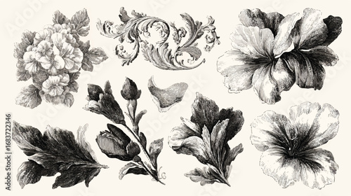 Elegant Floral and Baroque Design Illustration with Intricate Details in Monochrome Palette for Creative Projects