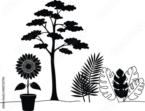 Black and white illustration of a sunflower in a pot, a tree, and tropical leaves.