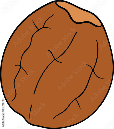 Brown walnut cracked rough shell vector illustration isolated on transparent background
