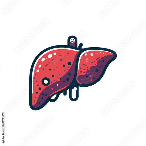 Stylized illustration of a human liver, showcasing its structure and color variations, suitable for educational use