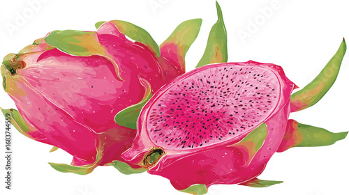 Exotic Dragon Fruit Still Life Illustration Fresh Cut Pink Pitaya Tropical Food Healthy Eating