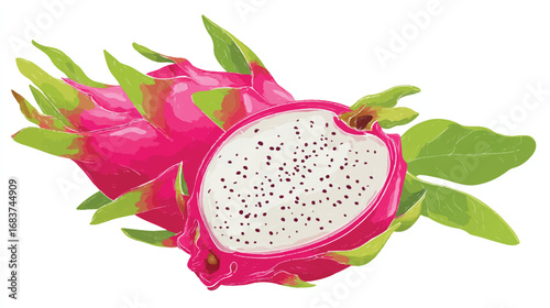 Exotic dragon fruit illustration with bright colors whole and sliced pitaya for healthy tropical fruit design