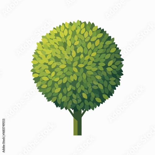 Beautiful Lush Green Globe Shaped Tree With Detailed Leaves Isolated On White Background