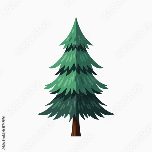 Evergreen Coniferous Tree with a Pointed Crown and Layered Branches Representing Nature and Forest