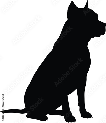 Silhouette of a boxer dog sitting attentively with alert ears on a clean white backdrop vector
