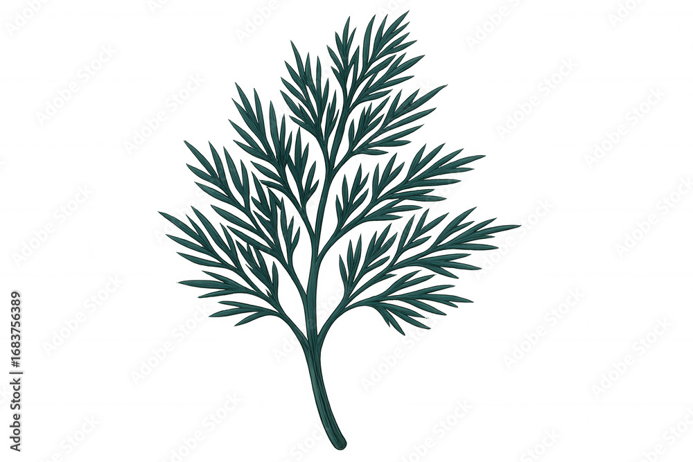 Obraz premium Detailed illustration of a fresh dill sprig, highlighting its vibrant green leaves and feathery texture against a transparent background
