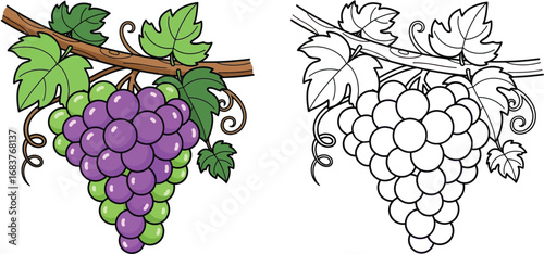 Grape Bunch on Vine Coloring Page: Sweet Cartoon Fruit Illustration for Kids, Healthy Food Outline Drawing with Leaves and Tendrils, Fresh Produce Clipart Vector Artwork