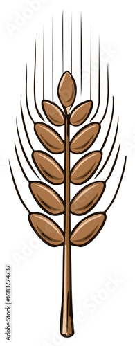 Wheat ear vector illustration isolated on white. Agricultural concept.