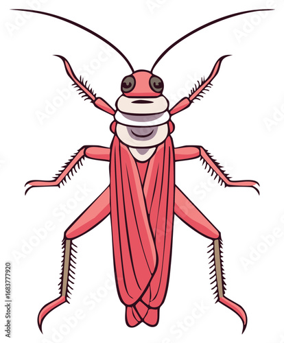 Red Cartoon Cockroach Top View Illustration with Antennae and Legs on White Background, Animal Illustration