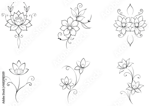 flowers set vector 