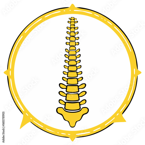 Anatomical human spine illustration inside a yellow compass for wellness and medical concepts