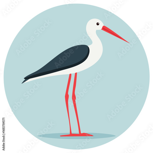 Elegant Stilt Bird Illustration with Long Legs, Red Beak and Black Wing Plumage