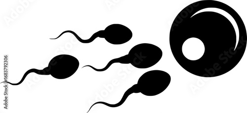 Human fertilization (sperm and egg) vector illustration.
