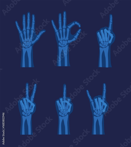 Skeleton hands Halloween set of gestures, x-ray view. Finger bones showing different gestures.