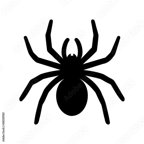 Simple Black Spider Silhouette with Eight Legs on White Background Graphic