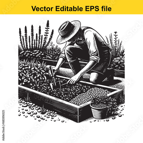 Gardener tending to plants in a raised garden bed, detailed illustration