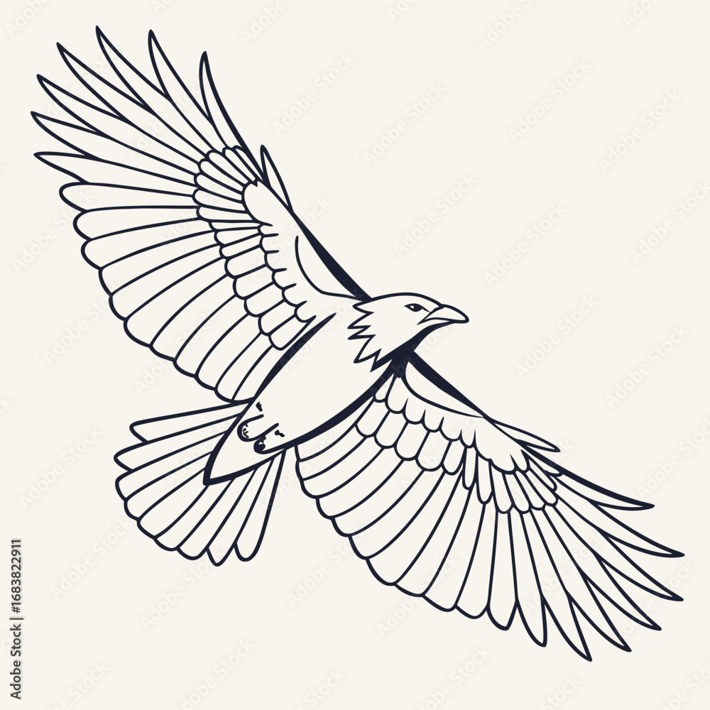 Obraz premium Bird in Flight Outline 1