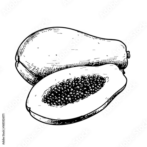 Hand-drawn papaya fruit showing whole and sliced sections  