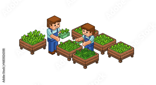 Isometric gardening with farmers growing vegetables in raised beds
