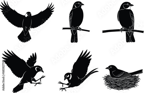 Bird silhouette vector, flying bird, perched bird, nest scene, swooping motion, wildlife illustration, nature concept, avian posture, black silhouette art
