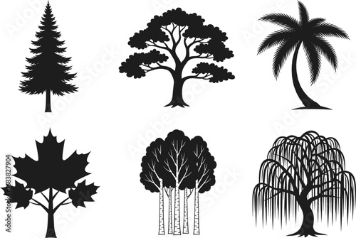Black silhouette vector of six different tree types, pine, oak, palm, maple, birch, willow, nature design elements, isolated illustration, white background