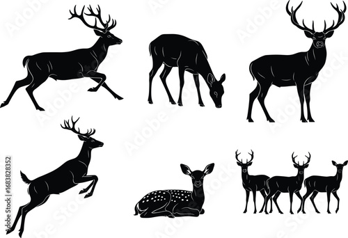 Deer silhouette vector set, running deer, grazing deer, leaping deer, lying deer, wildlife poses, forest animal illustration, nature clipart