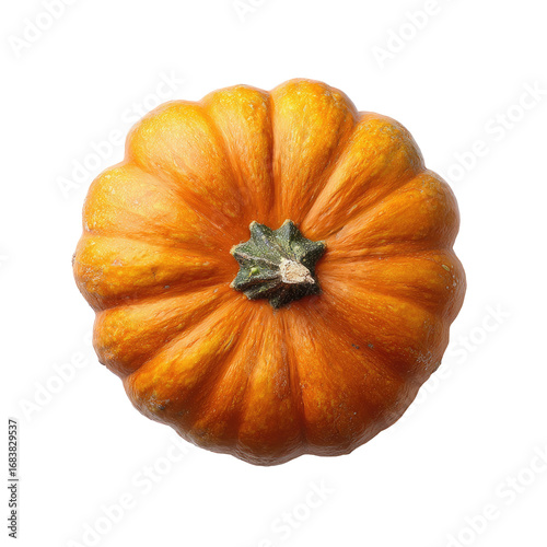 Small, round orange pumpkin, top view