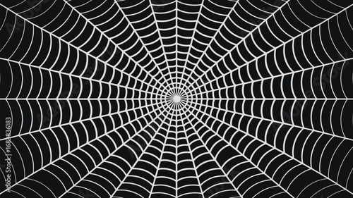Intricate white spiderweb pattern against a deep black background creates a striking visual.