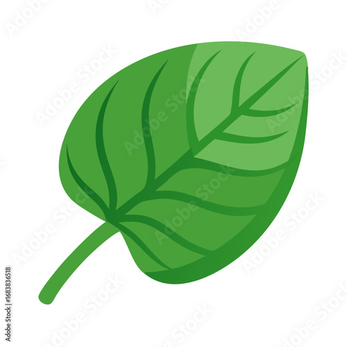 Single bright green leaf isolated on a black background