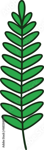 Elegant green fern frond vector illustration scalable decorative element transparent background