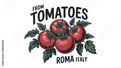 Vintage illustration of roma tomatoes from italy, a graphic design showcasing fresh, ripe vegetables for food and cuisine
