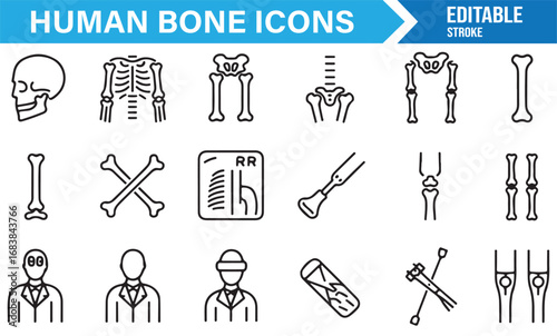 Human bone anatomy icon collection in outline style with orthopedic symbols and skeletal structure
