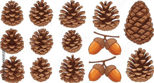 Autumn Pine Cones and Acorns Vector Set Featuring Natural Elements, Seasonal Forest Decor, Botanical Illustration for Nature and Fall Themes