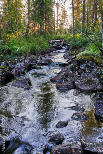 Wallpaper Mural stream in the forest Torontodigital.ca