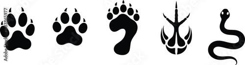 Animal tracks and paw print vector set – dog, cat, bear, bird claw, snake trail silhouette isolated illustrations