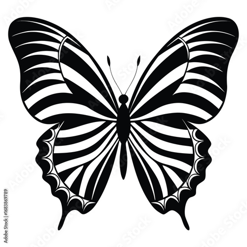 Stylized Black and White Butterfly with Striped Wings on White Background insect pattern