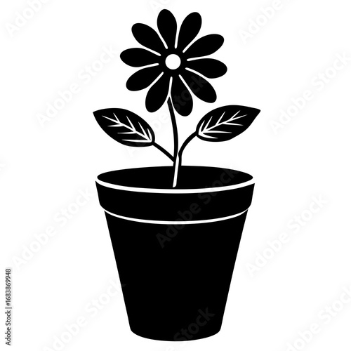 Flower Pot