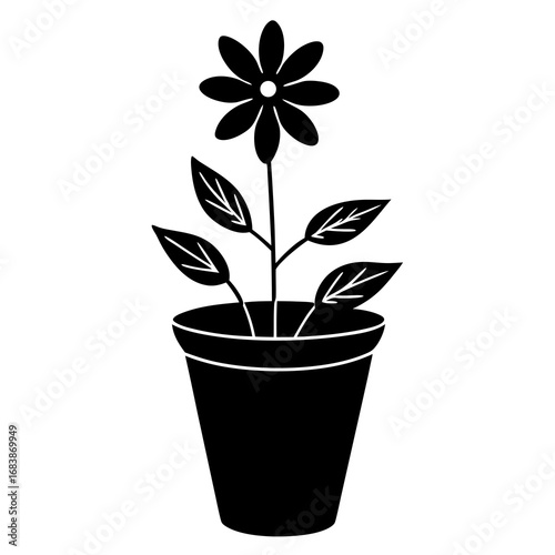 Flower Pot