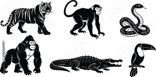 Jungle animals silhouette collection, tiger, monkey, snake, gorilla, crocodile, toucan vector illustration, wildlife jungle art animal design