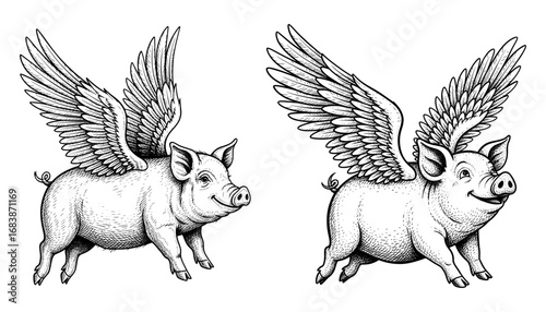 Vector art of two flying pigs with large feathered wings