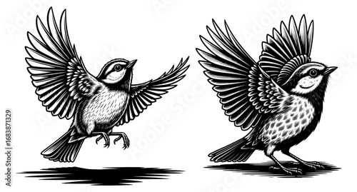 Vector art of two black and white drawings of birds in flight and perched