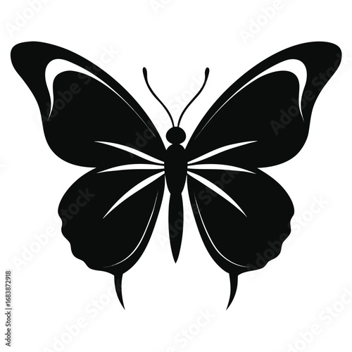 Black silhouette of a butterfly with detailed wing patterns on a white background insect wings
