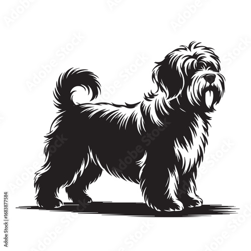 Shaggy small dog black and white illustration for pet, toy breed, puppy, domestic animal, and artwork