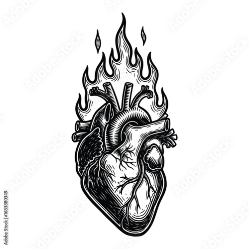 Vector art of monochrome illustration of a human heart on fire isolated on white background