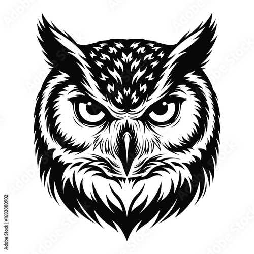 Vector art of a wise owl is staring intently isolated on white background