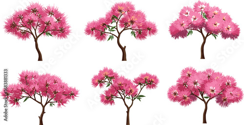 Pink fluffy blossom tree illustration, tropical decorative plant graphic, vibrant spring floral art, isolated garden tree clipart, nature design