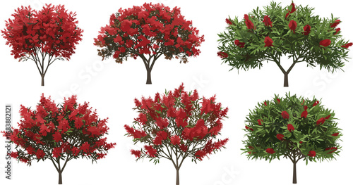 Realistic red flowering trees and bushes, bottlebrush and garden plants illustration, lush foliage clipart, vibrant nature flora collection