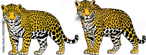 Cartoon Leopard Vector Illustration with Spots